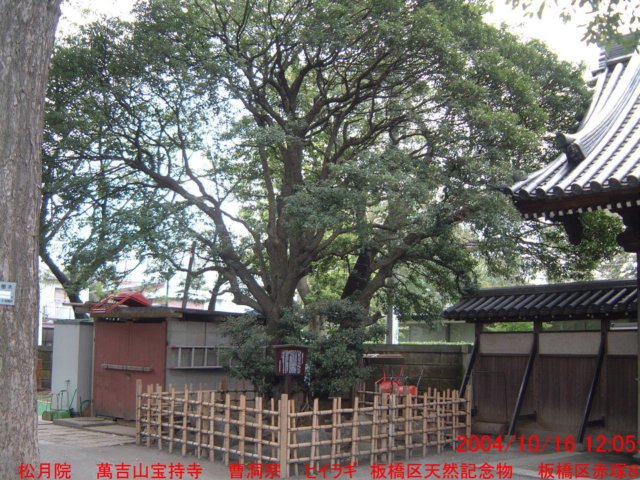 dscf0072.jpg