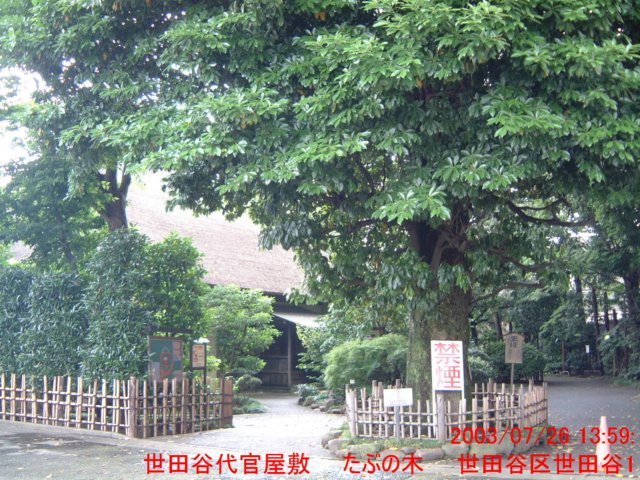 dscf0085.jpg