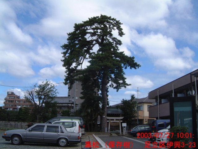 dscf0136.jpg