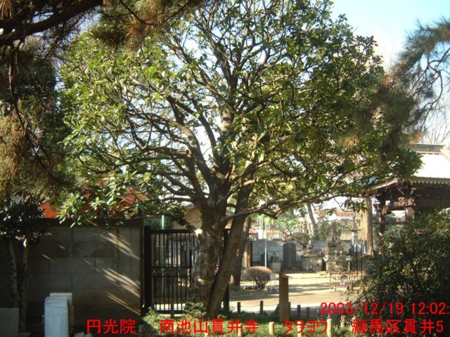 dscf0145.jpg