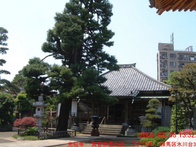 dscf0165.jpg