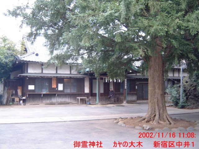 dscf0178.jpg
