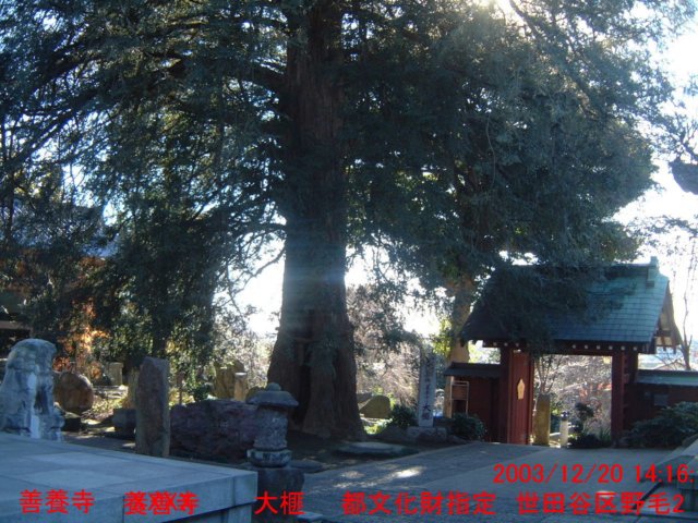 dscf0260.jpg