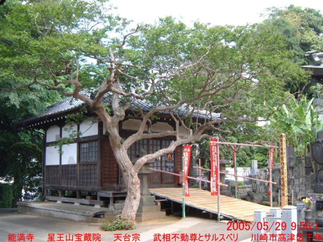 dscf0290.jpg