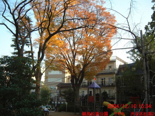 dscf0313.jpg