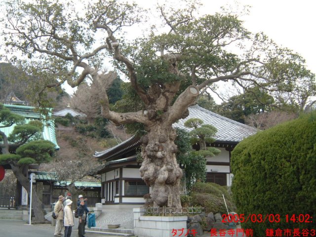 dscf0318.jpg
