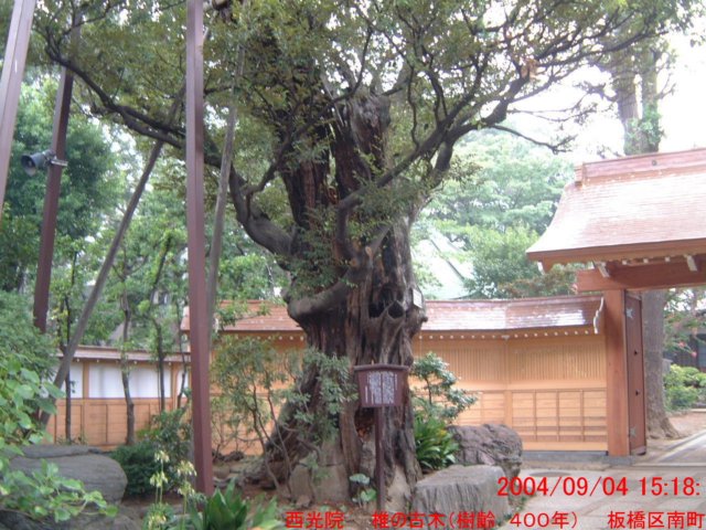 dscf0366.jpg