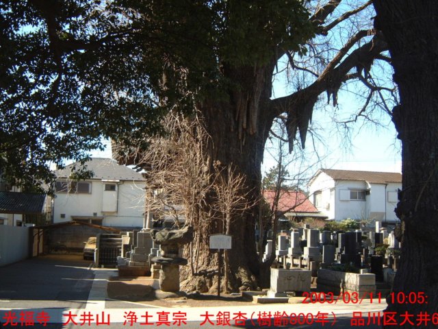dscf0367.jpg