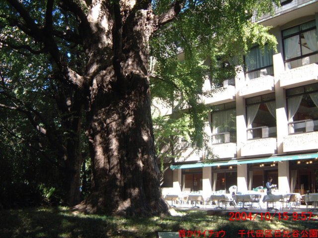 dscf0372.jpg