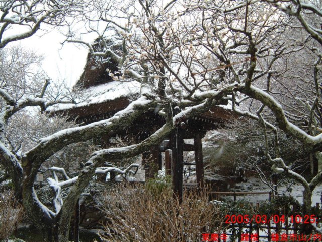 dscf0001.jpg