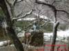 dscf0002_small.jpg