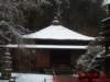 dscf0004_small.jpg