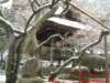 dscf0005_small.jpg