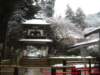 dscf0008_small.jpg