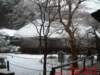 dscf0010_small.jpg