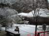 dscf0011_small.jpg
