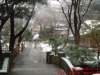 dscf0017_small.jpg