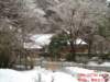 dscf0020_small.jpg