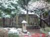 dscf0021_small.jpg