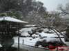 dscf0032_small.jpg