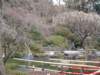 dscf0320_small.jpg