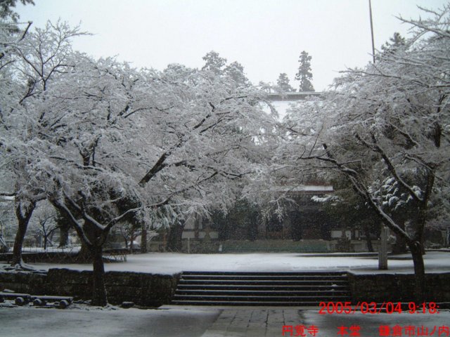 dscf0371.jpg