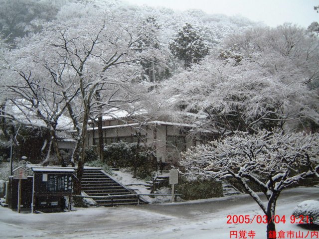 dscf0374.jpg