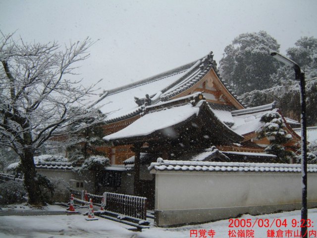 dscf0376.jpg