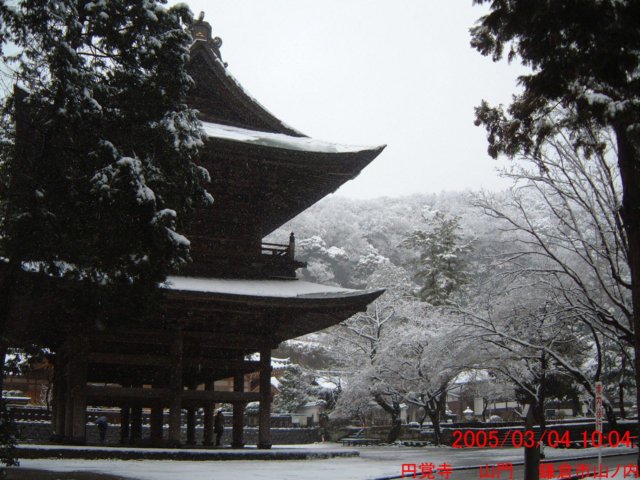 dscf0387.jpg