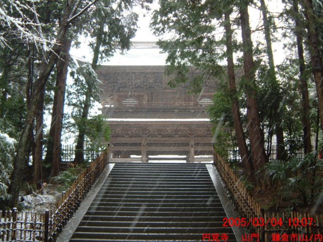 dscf0390.jpg