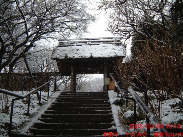 dscf0393.jpg