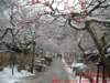 dscf0394_small.jpg