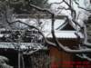 dscf0395_small.jpg
