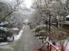 dscf0397_small.jpg