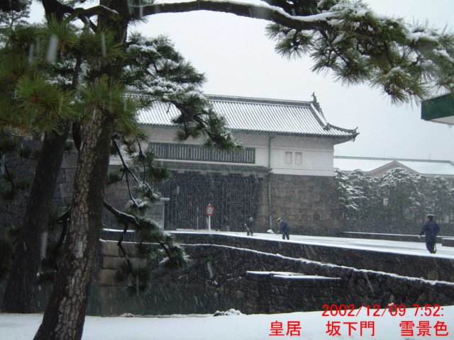 dscf0589.jpg