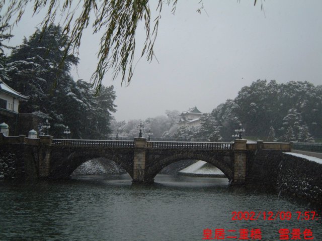 dscf0591.jpg
