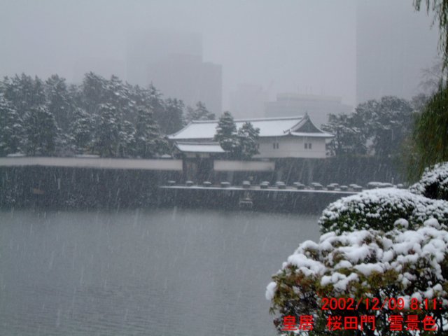 dscf0598.jpg