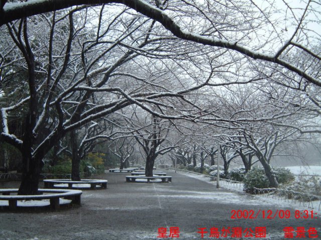 dscf0601.jpg