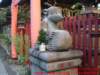 dscf0005_small.jpg