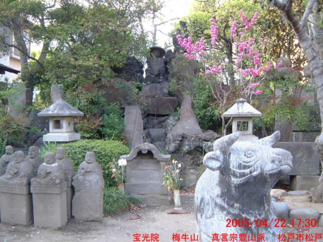 dscf0009.jpg