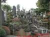 dscf0010_small.jpg