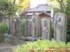dscf0020_small.jpg
