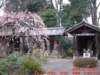 dscf0030_small.jpg