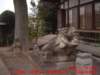 dscf0058_small.jpg