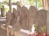 dscf0061_small.jpg