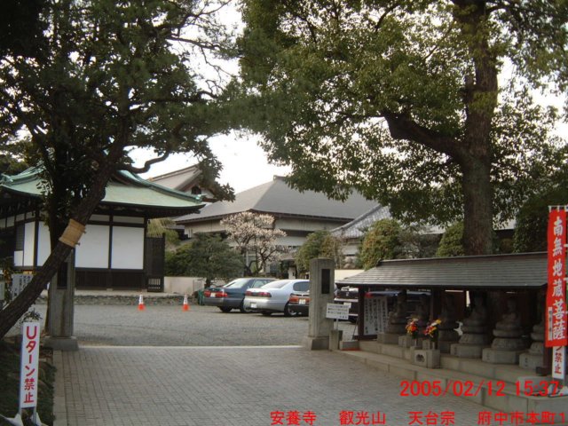 dscf0114.jpg