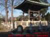 dscf0163_small.jpg