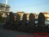 dscf0222_small.jpg