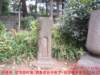 dscf0278_small.jpg