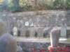 dscf0301_small.jpg